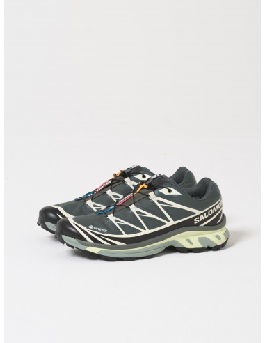 XT-6 Gore-Tex, Urban Chic/Black/Lime soldes